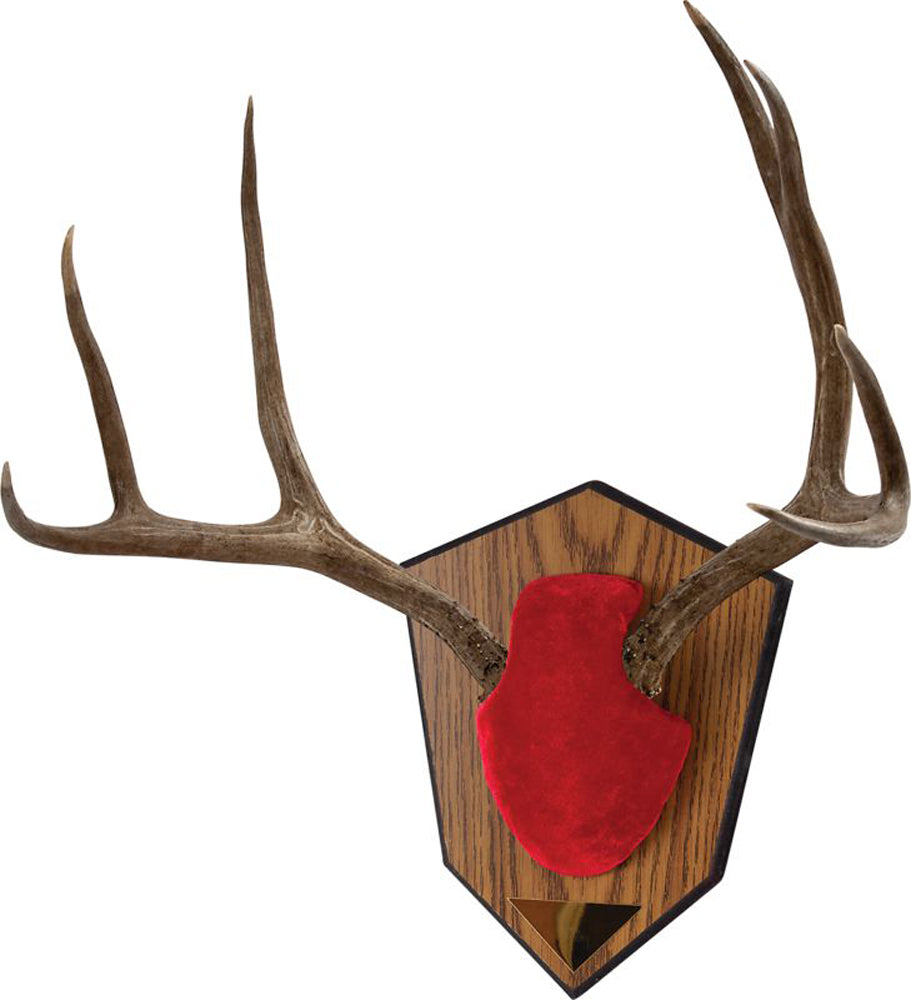 Allen Antler & Horn Mouting Kits