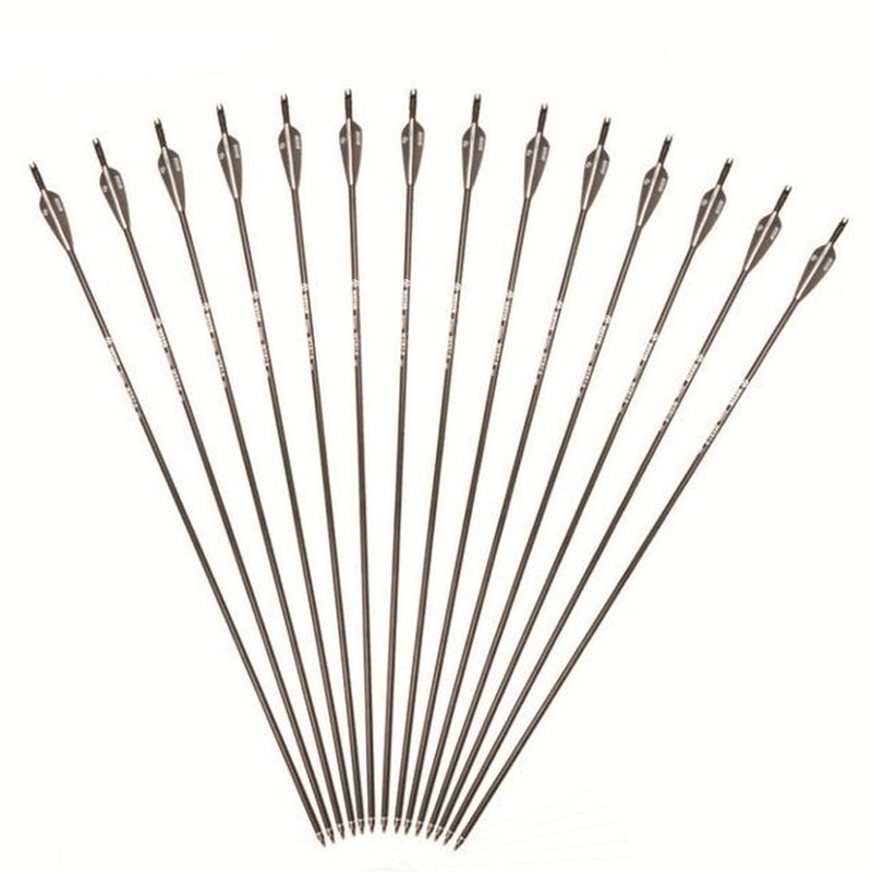 30Inch Carbon Shaft Archery Arrows SP340 Replaceable Tips for Compound Bow-12Pcs