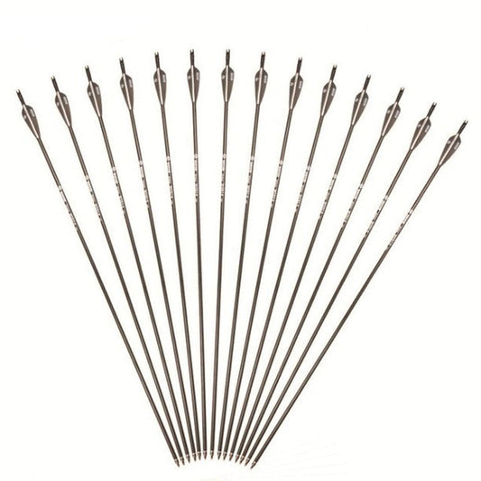 30Inch Carbon Shaft Archery Arrows SP340 Replaceable Tips for Compound Bow-12Pcs