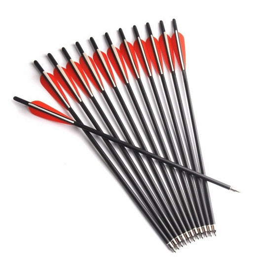12 Pcs 20 Inches Carbon Arrows with Replaceable Arrowhead 2 Colors Crossbow Compound Bow Recurve Bow Arrow with Plastic Feather for Archery Hunting Shooting Practice